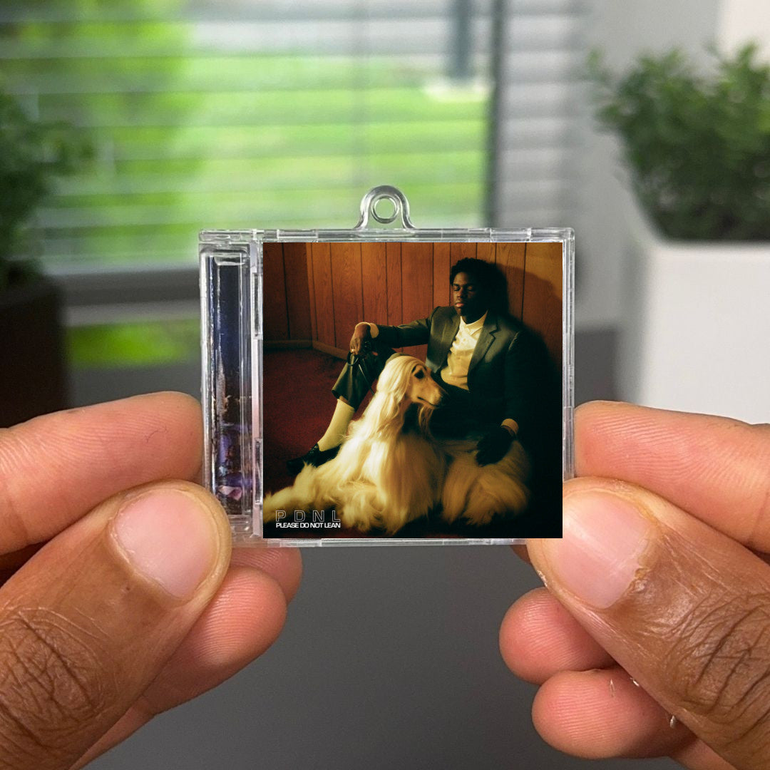 Please Do Not Lean Albumtag