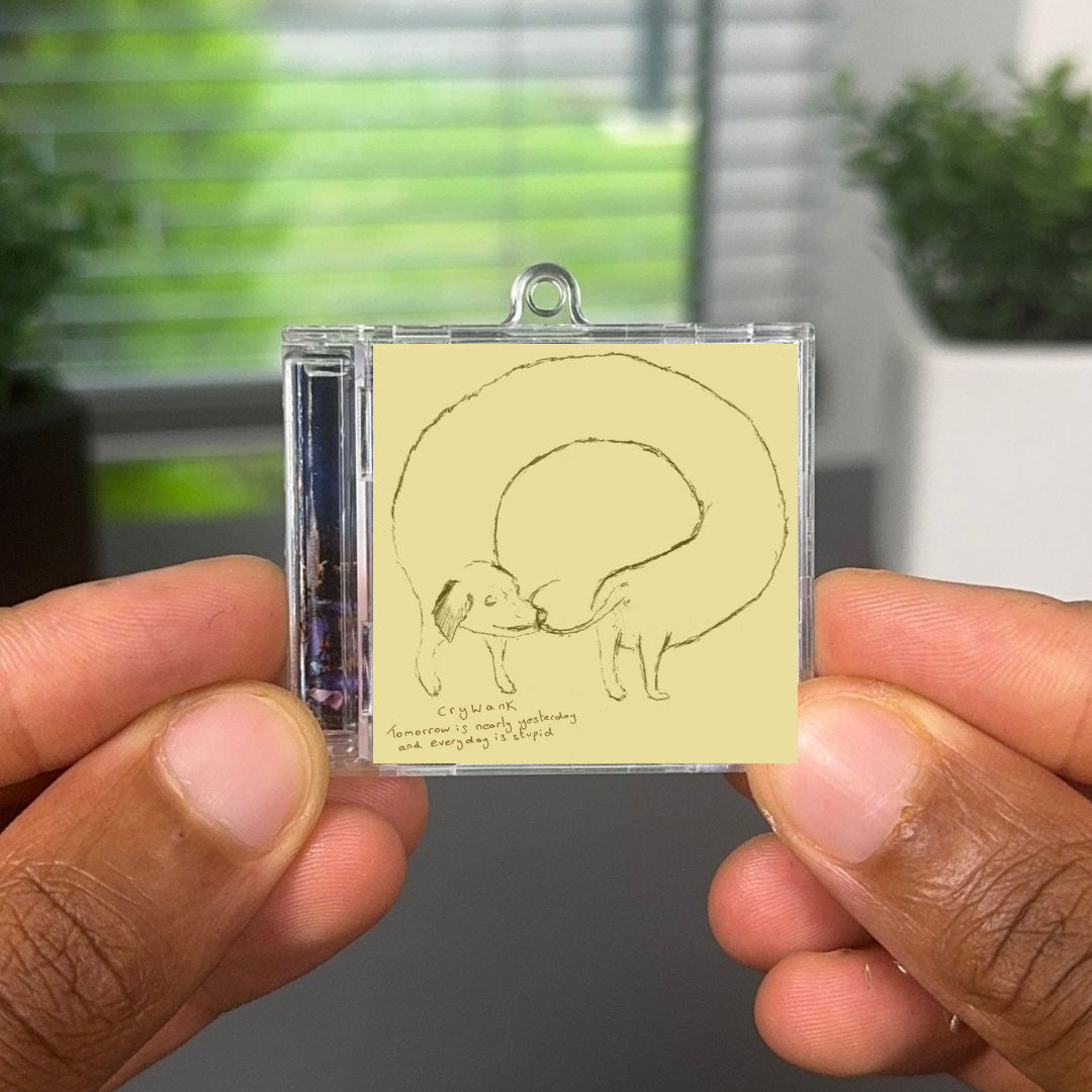 Tomorrow Is Nearly Yesterday and Everyday Is Stupid Albumtag