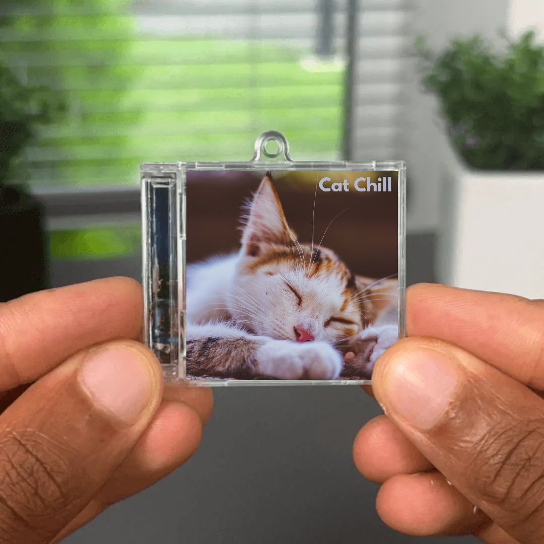 Catfish Albumtag