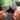 Plutino NFC Keychains