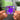2ollipop NFC Keychain