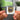 40oz. To Freedom NFC Keychain