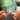 ケセラセラ Albumtag