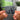 ANTI-ICON NFC Keychain
