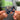 Ado"s Utattemita Album NFC Keychain