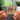 An Evening With Silk Sonic NFC Keychain
