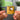 Automatic World Albumtag
