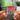 Broken Social Scene Albumtag