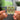 Butterfly 3000 NFC Keychain
