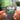 Cargo Albumtag