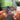 Corazón Verde Albumtag