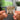 EIN SCHRITT UND ICH FALL NFC Keychain