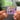 Execute NFC Keychain