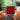 Forse in un"altra vita NFC Keychain