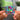 FunHouse NFC Keychain