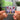 HAT SIE NICHT GESAGT NFC Keychain