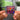 HOTEL MALIGNO Albumtag