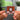Infections Of A Different Kind – Step 1 NFC Keychain