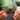 Kilka numerów o czymś NFC Keychain