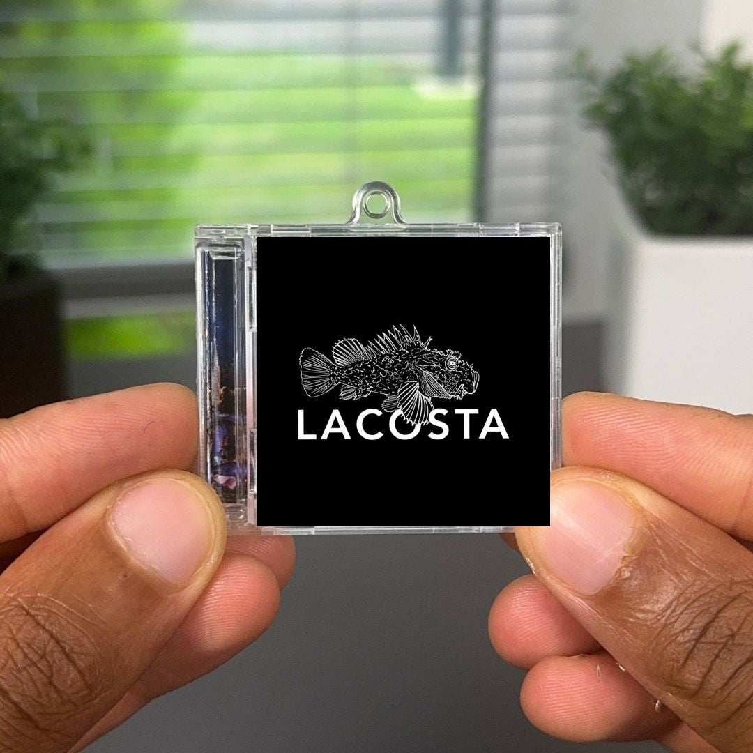 LACOSTA Albumtag