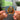Let the Sun Talk NFC Keychain