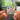 Life in Cartoon Motion NFC Keychain