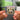 MICRODOSIS NFC Keychain