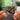 Music Of Christmas NFC Keychain