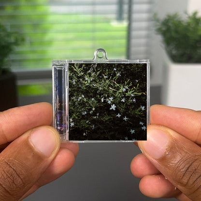 Pezzi Della Sera Albumtag