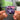 Purple Haze NFC Keychain