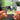 Sunflower Albumtag