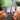 TRUSTFALL NFC Keychain