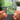 The Stone Roses Albumtag
