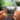 The Very Best Of Fleetwood Mac Albumtag