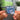 Tiny Dancer Albumtag