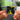 Trench Albumtag