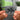 Automatic For The People NFC Keychain