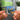 Breakfast In America (Deluxe Edition) Albumtag