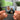 Cupid Shuffle Albumtag