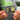 Dog Man Star (Remastered) NFC Keychain