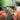 Follow The Leader Albumtag