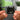 Ganz Oben (Mixtape) NFC Keychain