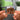 I WANNA BE YOUR SLAVE NFC Keychain