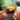 In Search of Sunrise 5 Mixed by Tiësto NFC Keychain
