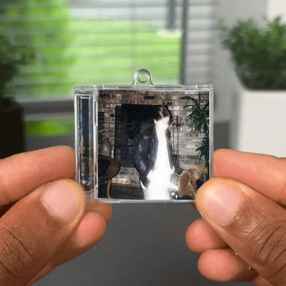 It"s All In Your Head Albumtag