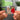 Let"s Go to Trader Joe"s NFC Keychain