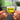 Losing My Religion NFC Keychain