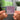 Make it a Memory NFC Keychain