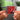 Notioanatolika Tou Kosmou NFC Keychain