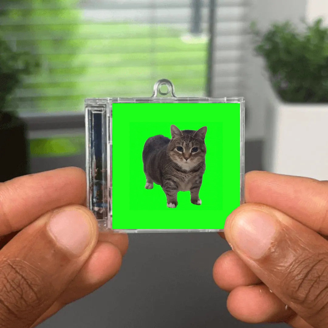 OIIA OIIA (Spinning Cat) NFC Keychain